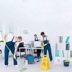 Office cLeaning service