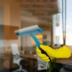 Window Cleaning service