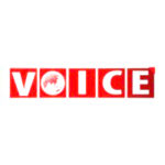 Voice Television Logo