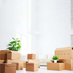 Move in MOve out Cleaning Service